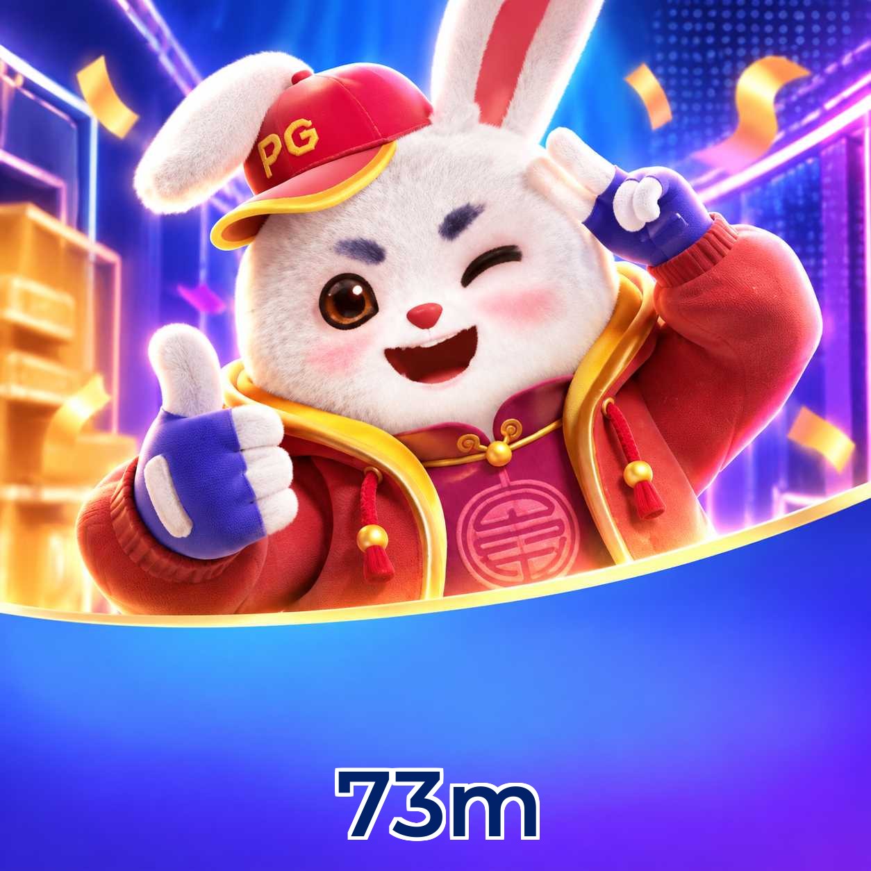 73m VIP Níveis