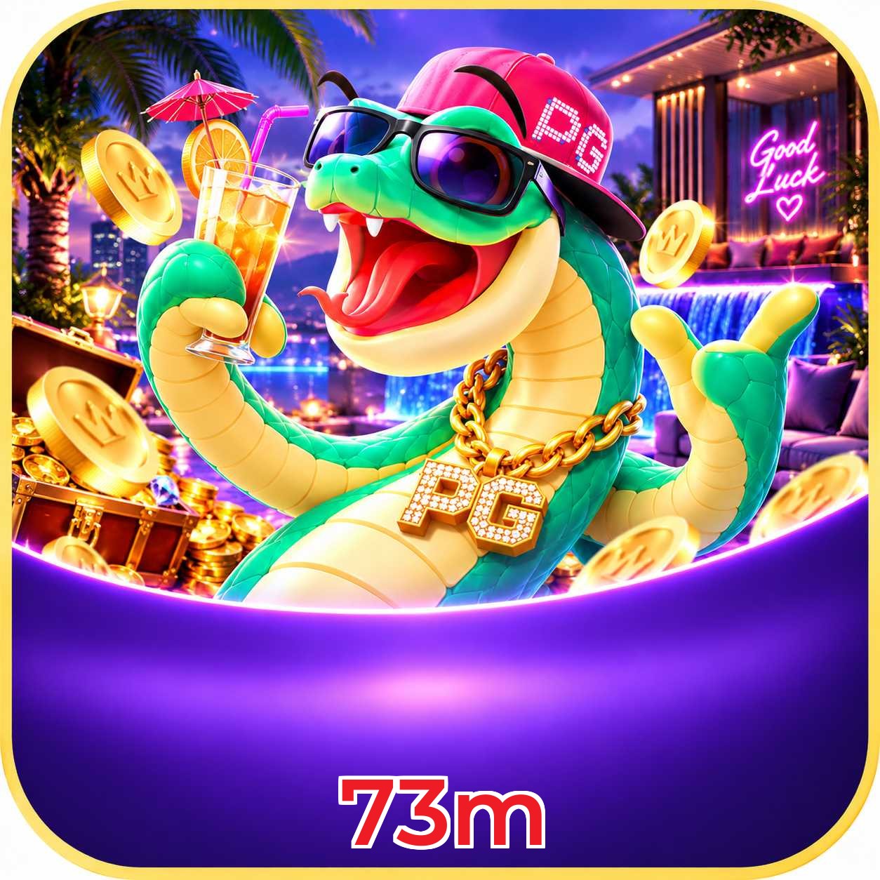 73m VIP Program